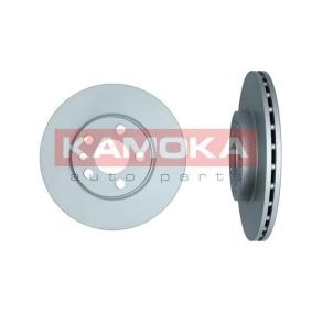 Bremsscheibe 103340