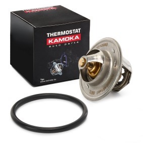 Achetez des Thermostat KAMOKA 7710063 à prix pour 6,00 €