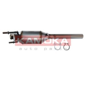 Partikelfilter (DPF) 8010049