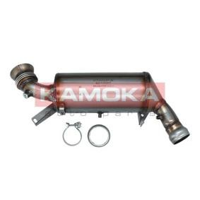 Partikelfilter (DPF) 8010052