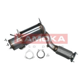 Partikelfilter (DPF) 8010056