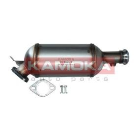 Partikelfilter (DPF) 8010072