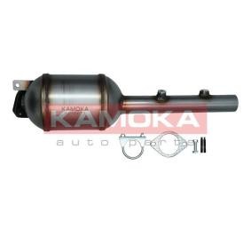 Partikelfilter (DPF) 8010073