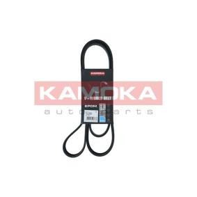 Osta Polttoainepumppu KAMOKA:llä 8410007 edullisesti hintaan 31,28 €