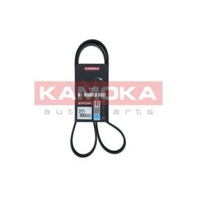 Osta Polttoainepumppu KAMOKA:llä 8410023 edullisesti hintaan 31,85 €