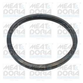 Dichtung, Thermostat 016100