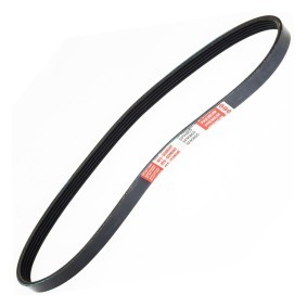 Osta Moniurahihna MASTER-SPORT:llä 5PK860-PCS-MS edullisesti hintaan 6,05 €