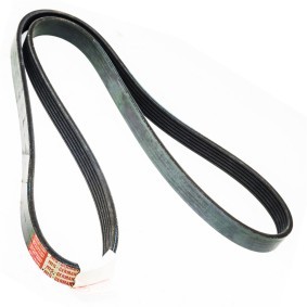 Achetez des Courroie Poly-V MASTER-SPORT 6PK1365-PCS-MS à prix pour 14,35 €