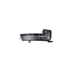 Blinker 6202746