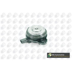 Acquista Magnete centrale, Regolazione albero a camme da BGA OCV0910 a buon mercato per soli 33,53 €