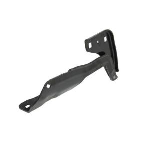 Scharnier, Motorhaube 6802-00-2598452P
