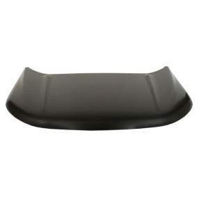 Motorhaube 6803-00-2598280P
