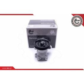 Servopumpe 10SKV300