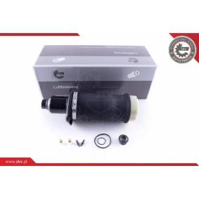 Luftfeder, Fahrwerk 58SKV040