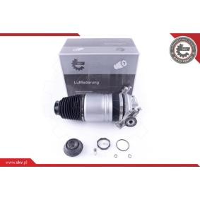 Luftfeder, Fahrwerk 58SKV050