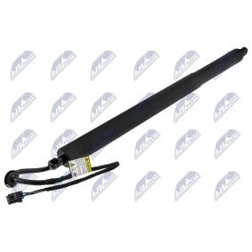 Heckklappe-Motor AE-HY-044 von NTY günstig für 101,27 € online kaufen