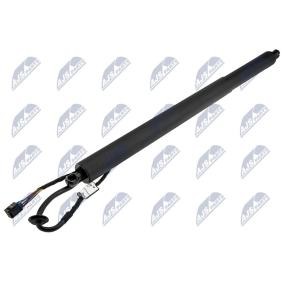 Heckklappe-Motor AE-HY-045 von NTY günstig für 101,27 € online kaufen