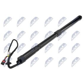 Heckklappe-Motor AE-LR-017 von NTY günstig für 118,66 € online kaufen