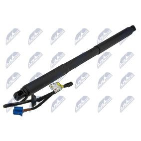 Heckklappe-Motor AE-ME-080 von NTY günstig für 118,21 € online kaufen