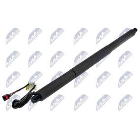 Heckklappe-Motor AE-SK-025 von NTY günstig für 120,33 € online kaufen