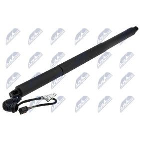 Heckklappe-Motor AE-SK-026 von NTY günstig für 120,58 € online kaufen