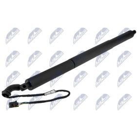 Heckklappe-Motor AE-SK-027 von NTY günstig für 117,12 € online kaufen