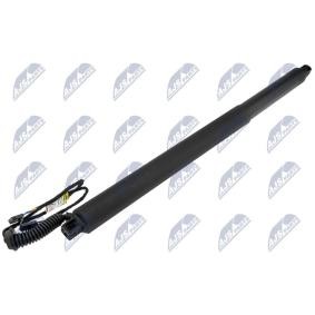 Heckklappe-Motor AE-SK-028 von NTY günstig für 117,65 € online kaufen