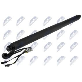 Heckklappe-Motor AE-SK-029 von NTY günstig für 117,65 € online kaufen