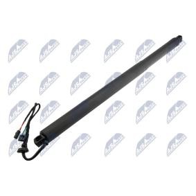 Heckklappe-Motor AE-SK-031 von NTY günstig für 107,22 € online kaufen