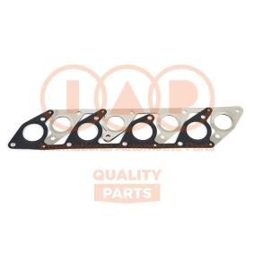 Dichtungssatz, Kurbelgehäuse 117-12020 MITSUBISHI L300 / DELICA von IAP QUALITY PARTS