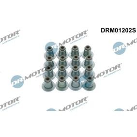 Dichtungssatz, Ventilschaft DRM01202S