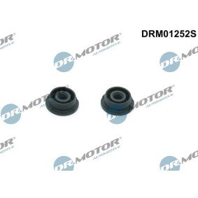 Achetez des Jeu de joints d'étanchéité, couvercle de culasse DR.MOTOR AUTOMOTIVE DRM01252S à prix pour 26,63 €