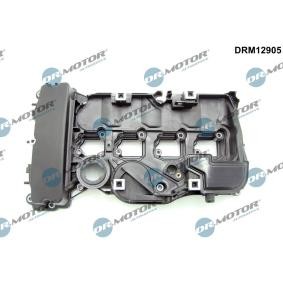 Zylinderkopfhaube DRM12905