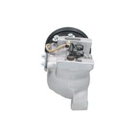 Acquista Compressore aria condizionata da BV PSH 090.155.003.260 a buon mercato per soli 651,27 €