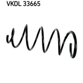 Kjøp Fjær av SKF VKDL 33665 til den lave prisen 560,41 NOK