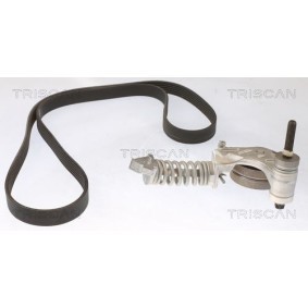 Achetez des Jeu de courroies trapézoïdales à nervures TRISCAN 8642 10025 à prix pour 140,57 €