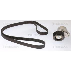 Achetez des Jeu de courroies trapézoïdales à nervures TRISCAN 8642 10026 à prix pour 80,67 €