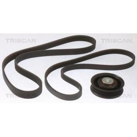 Comprar Juego de correas trapeciales poli V de TRISCAN 8642 10029 a bajo precio de 101,98 €