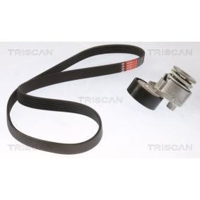 Achetez des Jeu de courroies trapézoïdales à nervures TRISCAN 8642 10030 à prix pour 97,33 €
