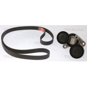 Keilrippenriemensatz 8642 11001 ALPINA D4 von TRISCAN