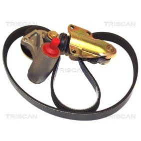 Achetez des Jeu de courroies trapézoïdales à nervures TRISCAN 8642 15001 à prix pour 66,02 €