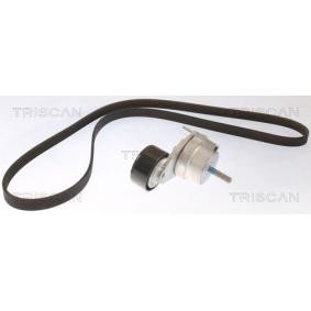 Achetez des Jeu de courroies trapézoïdales à nervures TRISCAN 8642 15003 à prix pour 82,93 €
