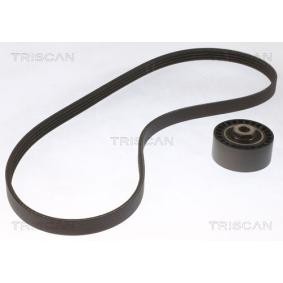 Achetez des Jeu de courroies trapézoïdales à nervures TRISCAN 8642 25015 à prix pour 104,25 €