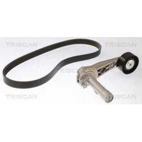 Achetez des Jeu de courroies trapézoïdales à nervures TRISCAN 8642 28051 à prix pour 114,66 €
