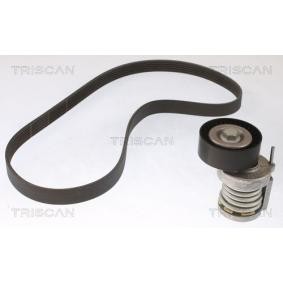 Achetez des Jeu de courroies trapézoïdales à nervures TRISCAN 8642 29025 à prix pour 112,68 €
