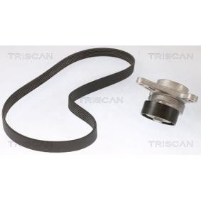Achetez des Jeu de courroies trapézoïdales à nervures TRISCAN 8642 29026 à prix pour 107,19 €