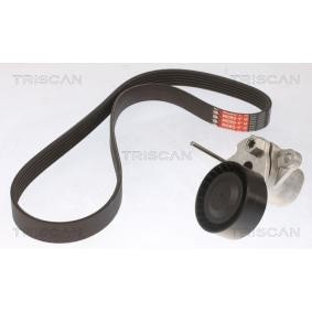 Achetez des Jeu de courroies trapézoïdales à nervures TRISCAN 8642 29033 à prix pour 117,20 €