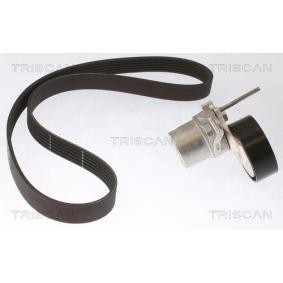 Achetez des Jeu de courroies trapézoïdales à nervures TRISCAN 8642 29034 à prix pour 127,78 €