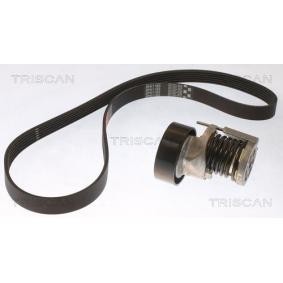Achetez des Jeu de courroies trapézoïdales à nervures TRISCAN 8642 29044 à prix pour 77,12 €