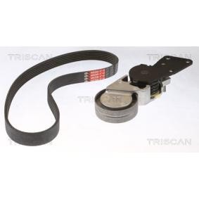 Achetez des Jeu de courroies trapézoïdales à nervures TRISCAN 8642 29046 à prix pour 85,56 €